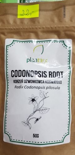codonopsis_root.jpg