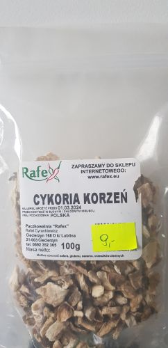 cykoria_korzen-1.jpg