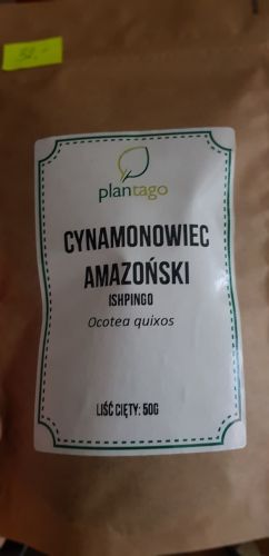 cynamonowiec_amazonski_plantago.jpg